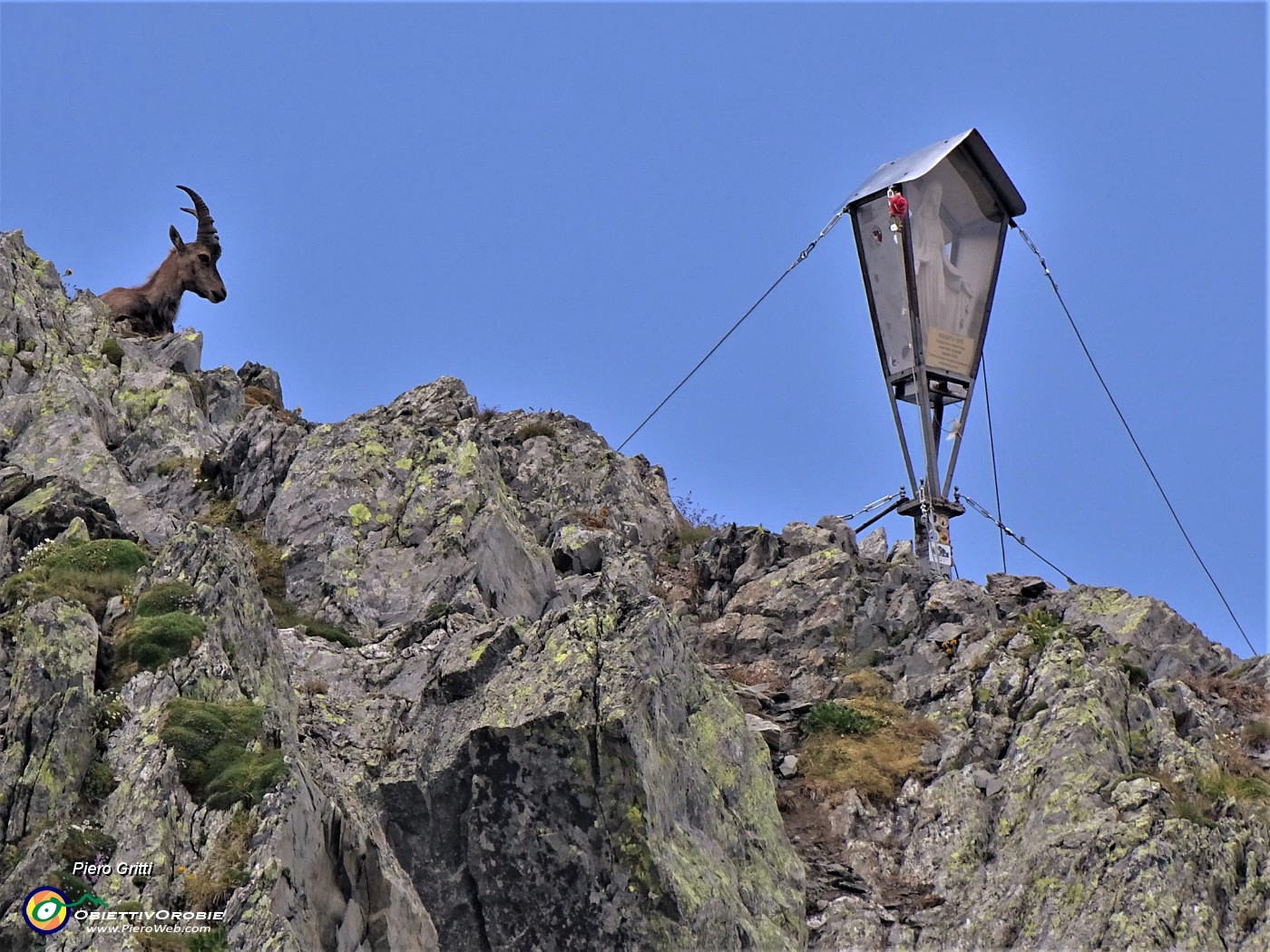 35 Madonnina di Cima Aga (2720 m) vegliata da stambecco.JPG